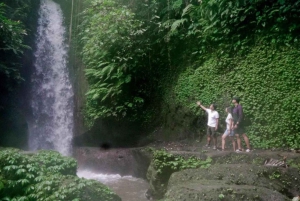 Ubud: Tirta Empul Temple, Rice Terraces, and Waterfall Tour