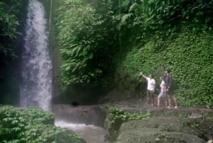 Ubud: Tirta Empul Tempel, Rijstterrassen en Waterval Tour