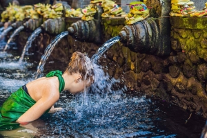 Ubud: Tirta Empul-templet, risterrasser och vattenfall