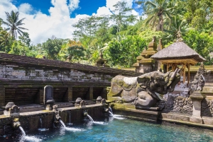 Ubud: Tirta Empul-templet, risterrasser och vattenfall