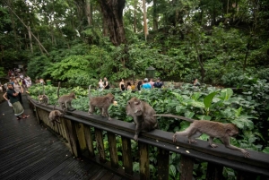 Ubud Tour: Monkey Forest, Water Temple & Jungle Club Fun Day