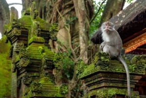 Ubud Tour: Monkey Forest, Water Temple & Jungle Club Fun Day