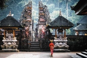 Ubud Tour: Monkey Forest, Water Temple & Jungle Club Fun Day