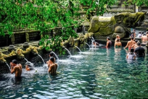 Ubud Tour: Monkey Forest, Water Temple & Jungle Club Fun Day