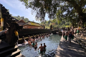 Ubud Tour: Monkey Forest, Water Temple & Jungle Club Fun Day