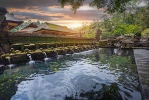 Ubud Tour: Monkey Forest, Water Temple & Jungle Club Fun Day