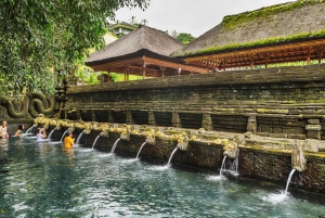 Ubud Tour: Monkey Forest, Water Temple & Jungle Club Fun Day