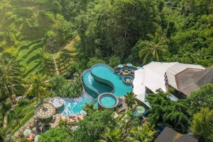 Ubud Tour: Monkey Forest, Water Temple & Jungle Club Fun Day