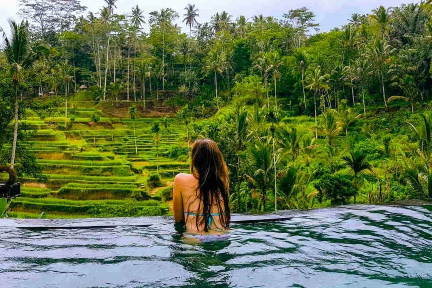 Ubud Tour : Rice Terrace, Temple and waterfall Private Tour