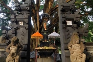 Visite d'Ubud avec un rituel de purification au temple Tirta Empul