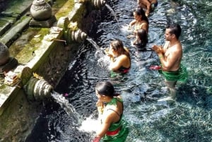 Tour em Ubud com um ritual de purificação no Templo Tirta Empul