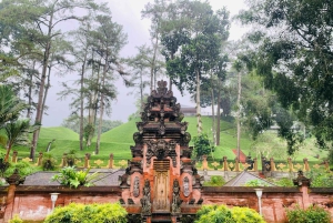 Ubud-rondleiding met optionele Engelstalige, Spaanstalige en Italiaanse gids