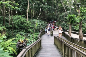 Ubud-tur med valgfri engelsk, spansk og italiensk turguide