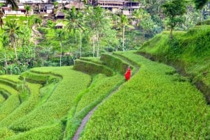Tour di Ubud con guida opzionale in inglese, spagnolo e italiano