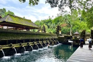 Tour di Ubud con guida opzionale in inglese, spagnolo e italiano