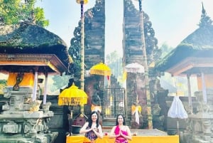 Tour di Ubud con guida opzionale in inglese, spagnolo e italiano