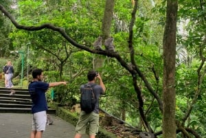 Tour di Ubud con guida opzionale in inglese, spagnolo e italiano