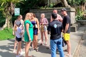 Tour di Ubud con guida opzionale in inglese, spagnolo e italiano