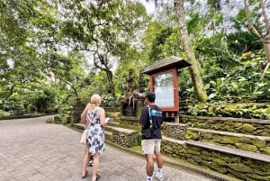 Tour di Ubud con guida opzionale in inglese, spagnolo e italiano