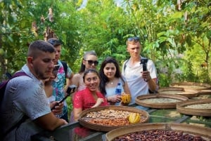 Tour di Ubud con guida opzionale in inglese, spagnolo e italiano