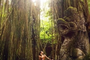 Tour di Ubud con guida opzionale in inglese, spagnolo e italiano