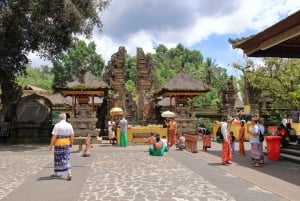 Tour di Ubud con guida opzionale in inglese, spagnolo e italiano