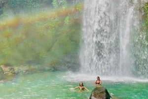 Tour di Ubud con guida opzionale in inglese, spagnolo e italiano