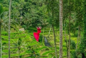 Tour di Ubud con guida opzionale in inglese, spagnolo e italiano
