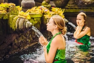 Tour di Ubud con guida opzionale in inglese, spagnolo e italiano