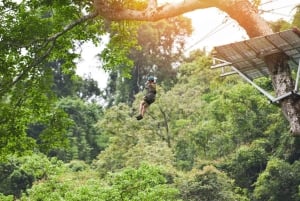 Tour di Ubud con guida opzionale in inglese, spagnolo e italiano