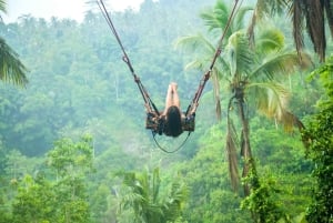 Tour di Ubud con guida opzionale in inglese, spagnolo e italiano