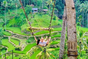 Tour di Ubud con guida opzionale in inglese, spagnolo e italiano