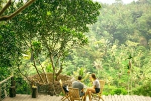 Tour di Ubud con guida opzionale in inglese, spagnolo e italiano