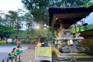 Tour di Ubud con guida opzionale in inglese, spagnolo e italiano