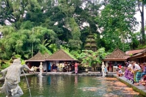 Tour di Ubud con guida opzionale in inglese, spagnolo e italiano