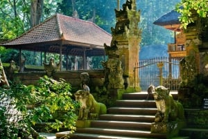Tour di Ubud con guida opzionale in inglese, spagnolo e italiano