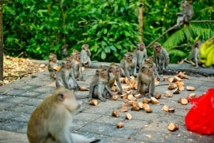 Tour di Ubud con guida opzionale in inglese, spagnolo e italiano