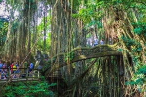 Tour di Ubud con guida opzionale in inglese, spagnolo e italiano