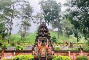 Tour di Ubud con guida opzionale in inglese, spagnolo e italiano