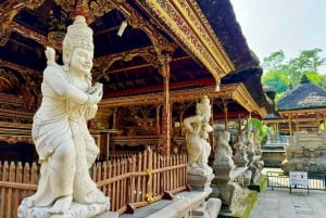 Tour di Ubud con guida opzionale in inglese, spagnolo e italiano