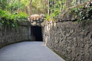 Tour di Ubud con guida opzionale in inglese, spagnolo e italiano