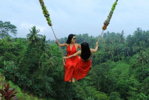 Ubud Tours with Jungle Swing