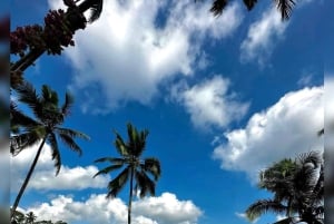 Ubud : explorez l'art divin, la spiritualité et la nature de Bali