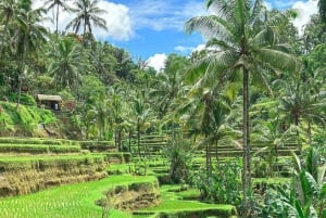 Ubud : explorez l'art divin, la spiritualité et la nature de Bali