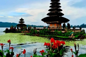 Ubud : explorez l'art divin, la spiritualité et la nature de Bali