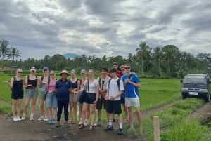 Ubud-Trekking: Erkunde das Dorf Kenderan & Wasserfälle