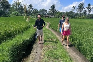Ubud-Trekking: Erkunde das Dorf Kenderan & Wasserfälle