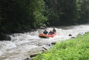 Ubud: Ultimate Adrenaline ATV Quad And White Water Rafting