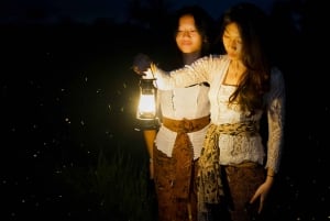 Ubud: Village Firefly Night Tour with Dinner