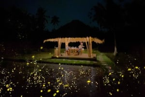 Ubud: Village Firefly Night Tour with Dinner